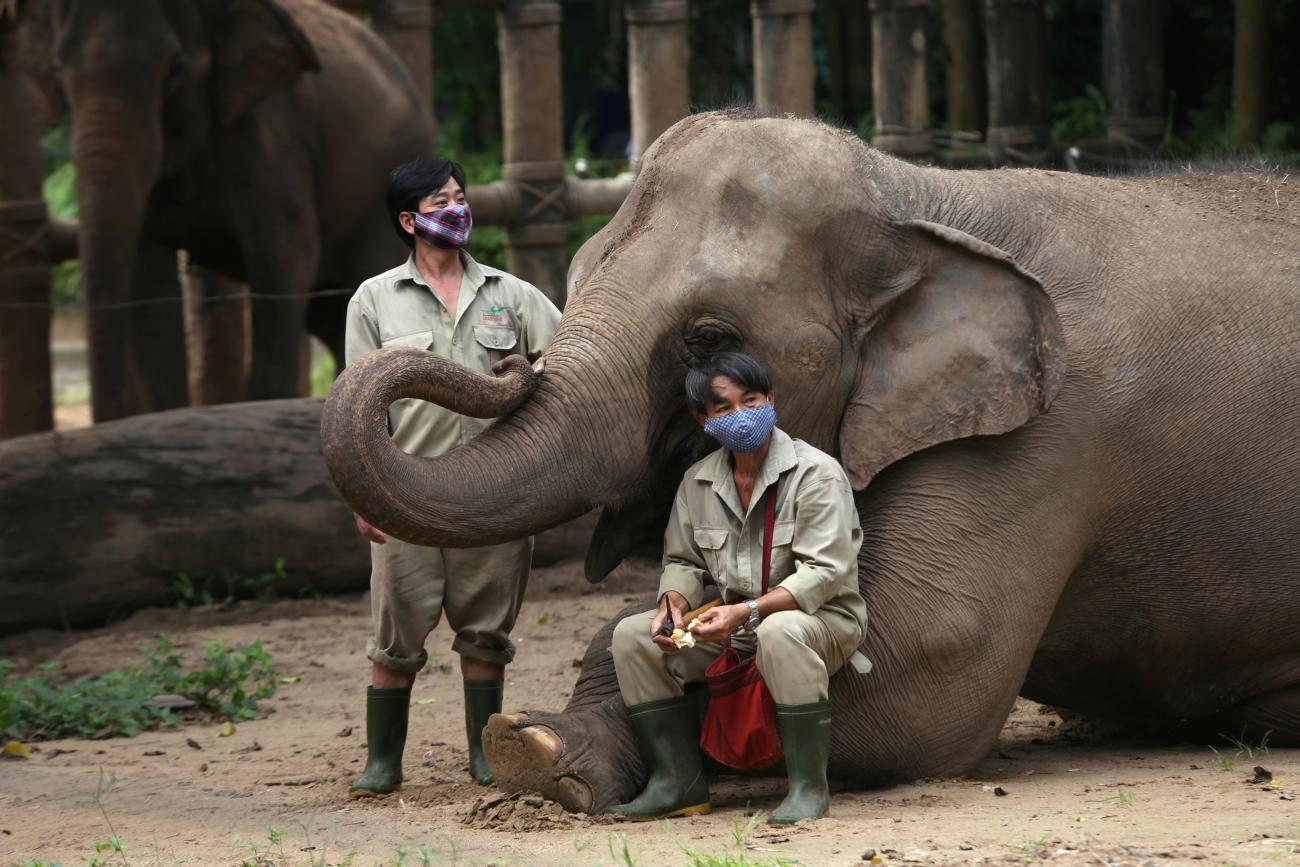 Mahouts, elephant keepers, at the Saigon Zoo and Botanical Gardens, which faced dwindling visitors during the coronavirus pandemic, in Ho Chi Minh, Vietnam, on August 19, 2020.