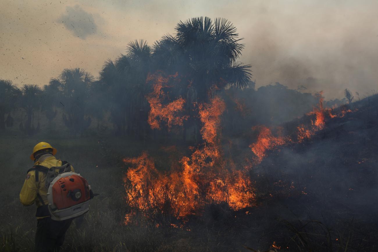 Fire brigade member attempts to control hot points during a fire at the the Brazil's Amazon rainforest.
