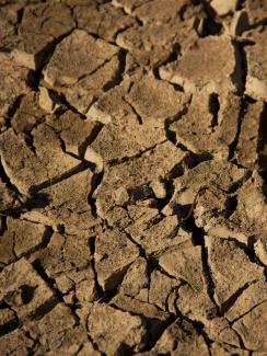 Picture shows a close-up of dried, cracked soil on the edge of Lake Wegnia in Koulikoro, Mali on Nov 23, 2019. Millions in Africa’s Sahel region face food insecurity due to drought and conflict. REUTERS/Arouna Sissoko.
