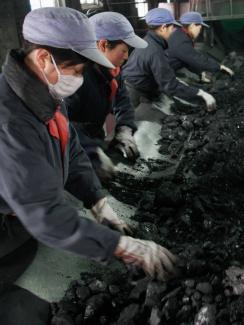 The picture shows eight women, four-by-four, in work clothes and thick gloves picking through black chunks of coal and cinder as it rolls past on a conveyor. One is wearing a simple dust mask. The others are not.