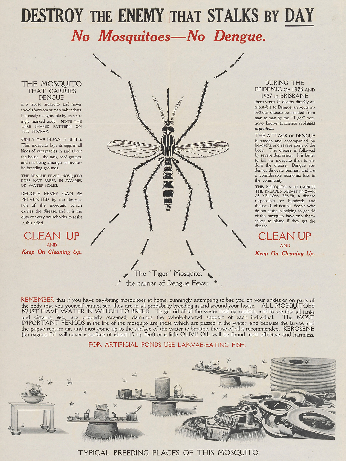 how-did-dengue-get-its-name-think-global-health