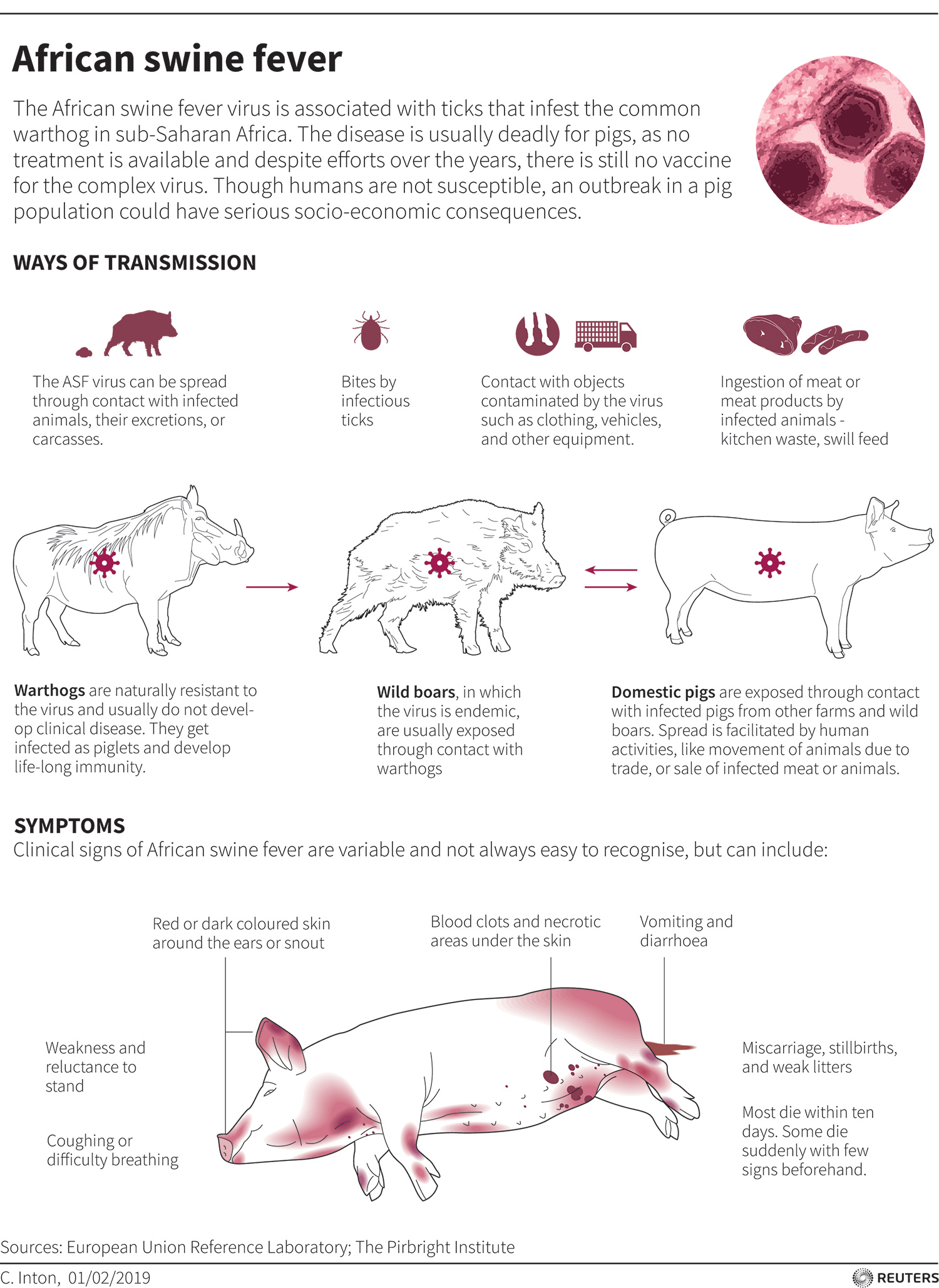 Pig Pandemics and Other 