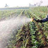 A man sprays pesticide.