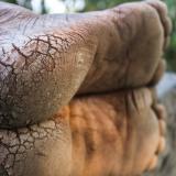 A worker's feet are shown with cracked heels.