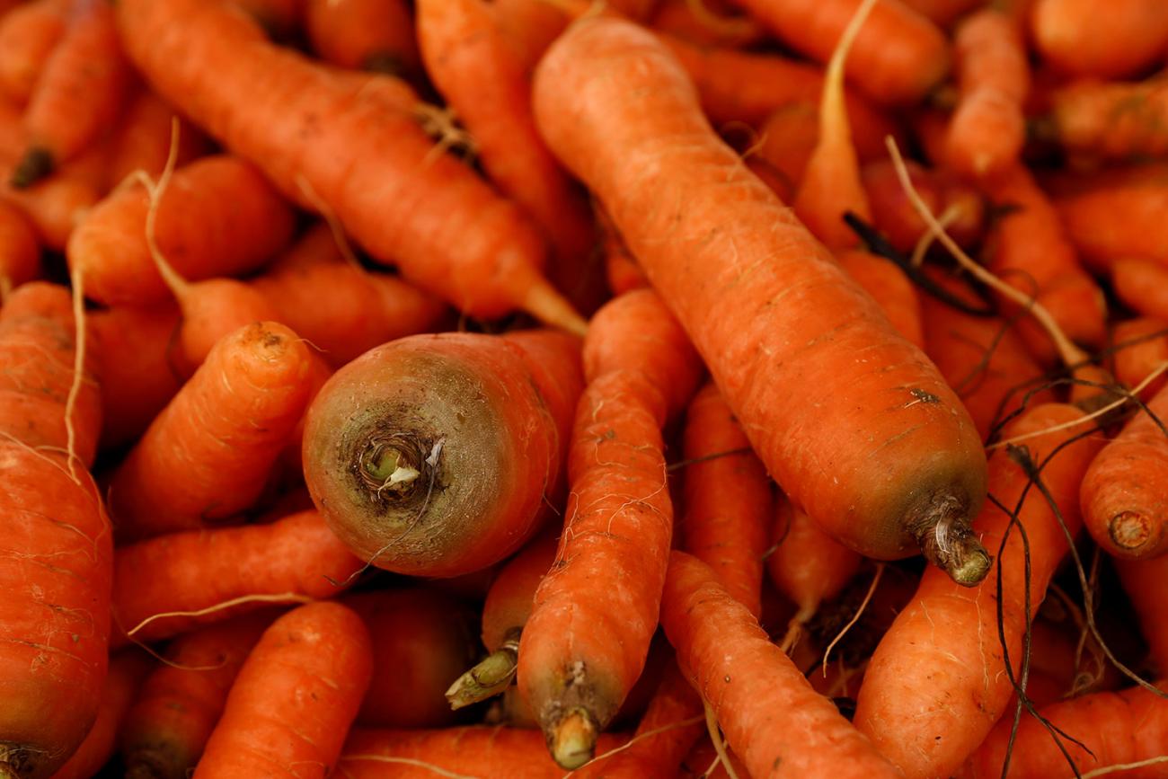 Picture of a huge mound of carrots displayed on a vendor's stand at the Farmers' Market in Ta' Qali