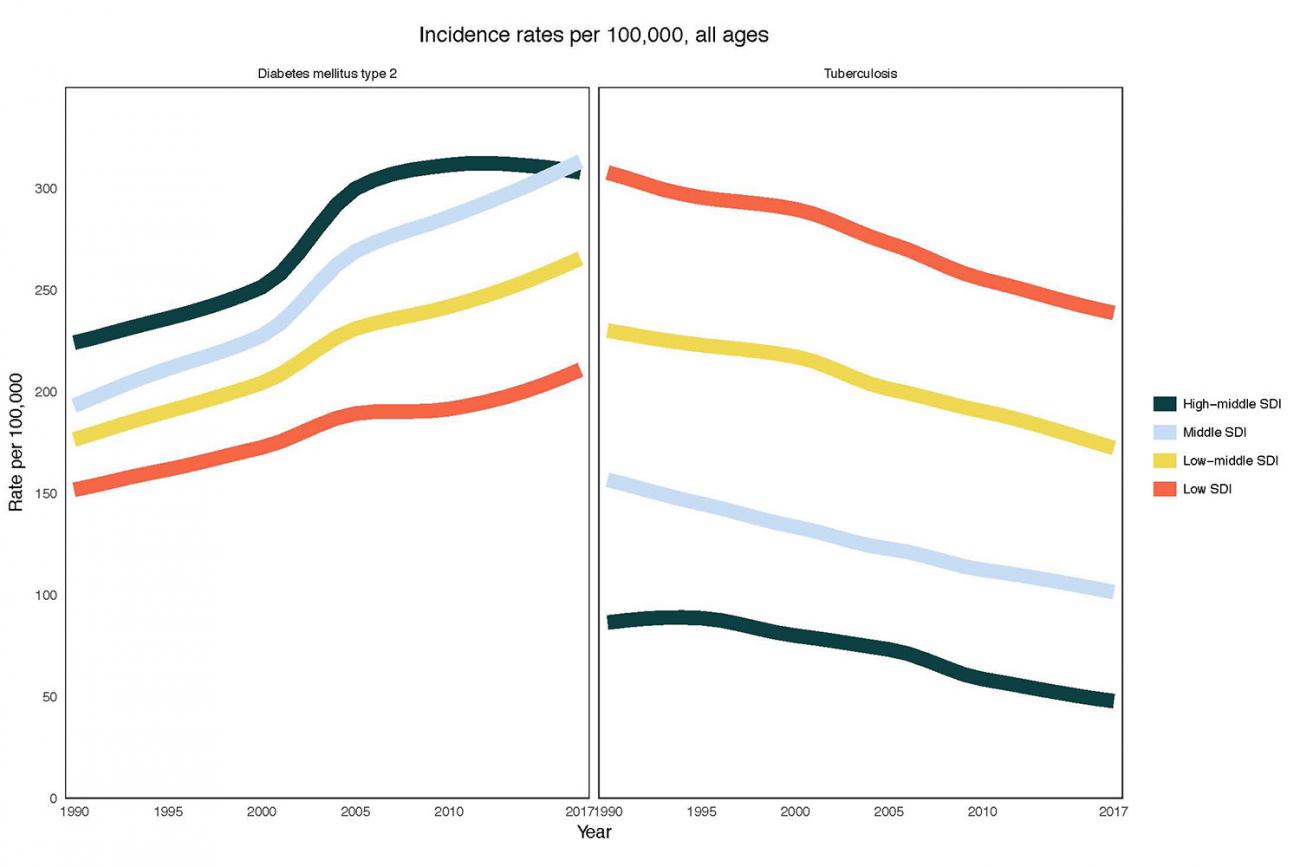 Figure shows two line graph showing rates of diabetes and TB over time.