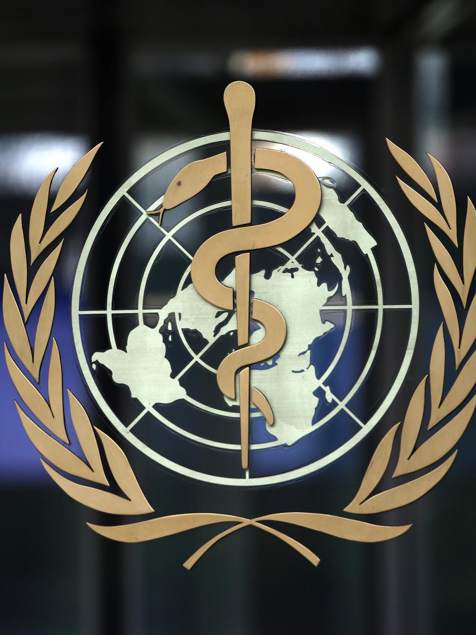 The World Health Organization And Pandemic Politics | Think Global Health