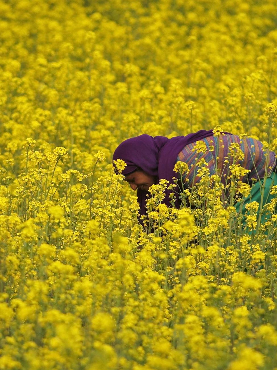 We Must Let a Million Flowers Bloom | Think Global Health