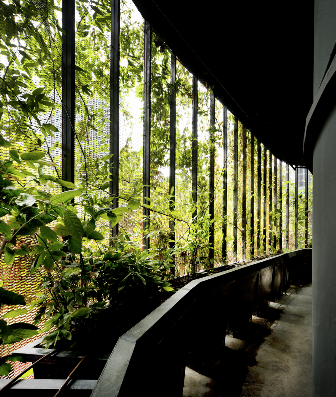 A hallway at Oasia Hotel Downtown in Singapore's Central Business District.