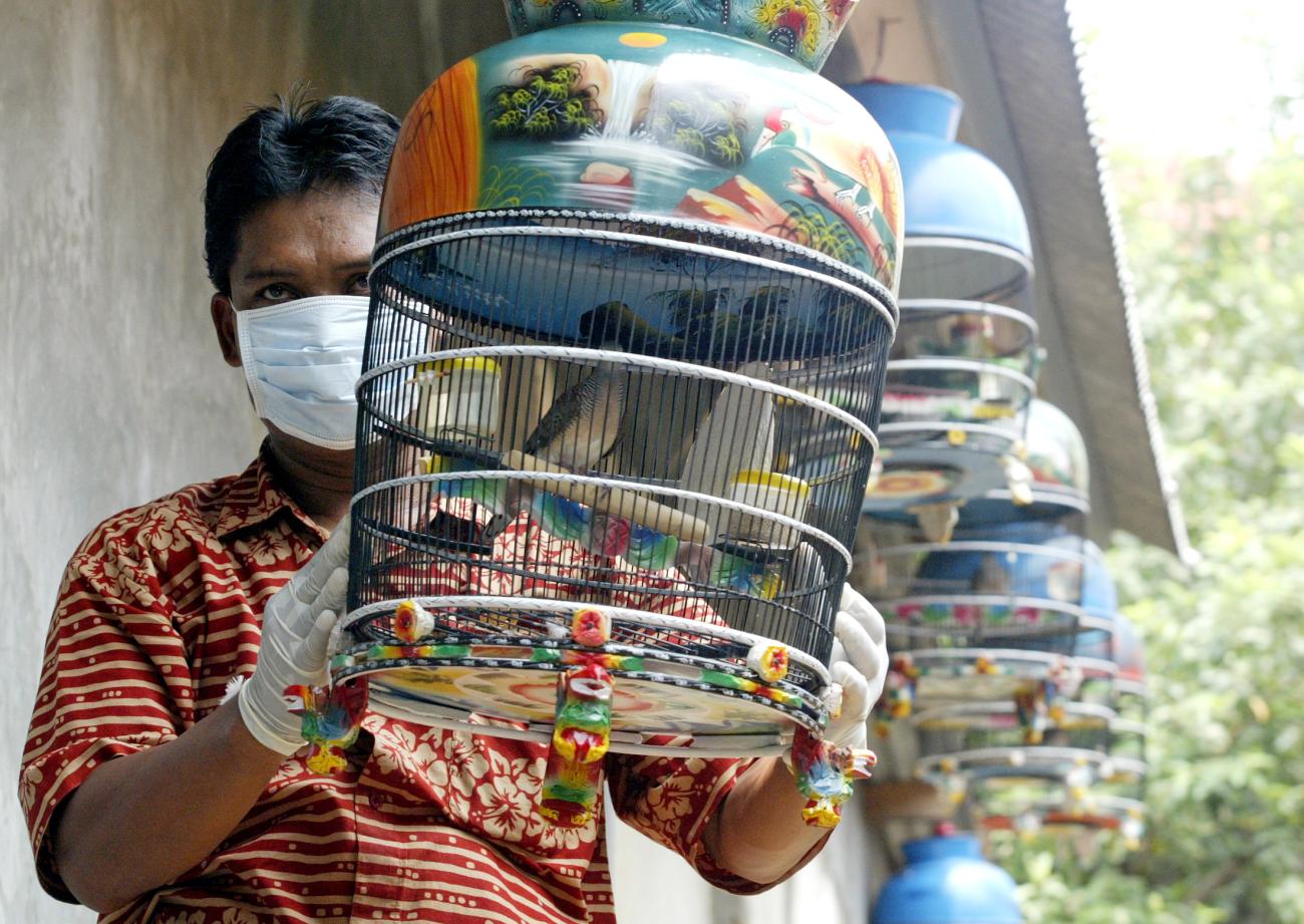 An official carries a cage as he conducts a door-to-door search to take samples of feces and blood from poultry, during an H5N1 outbreak, in South Jakarta, Indonesia, on February 17, 2006.