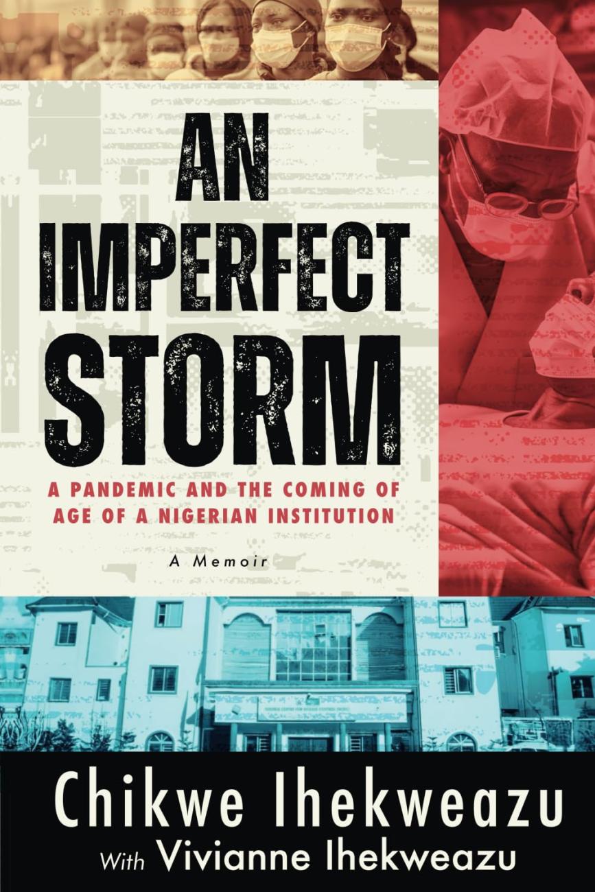 Image of the book cover of An Imperfect Storm