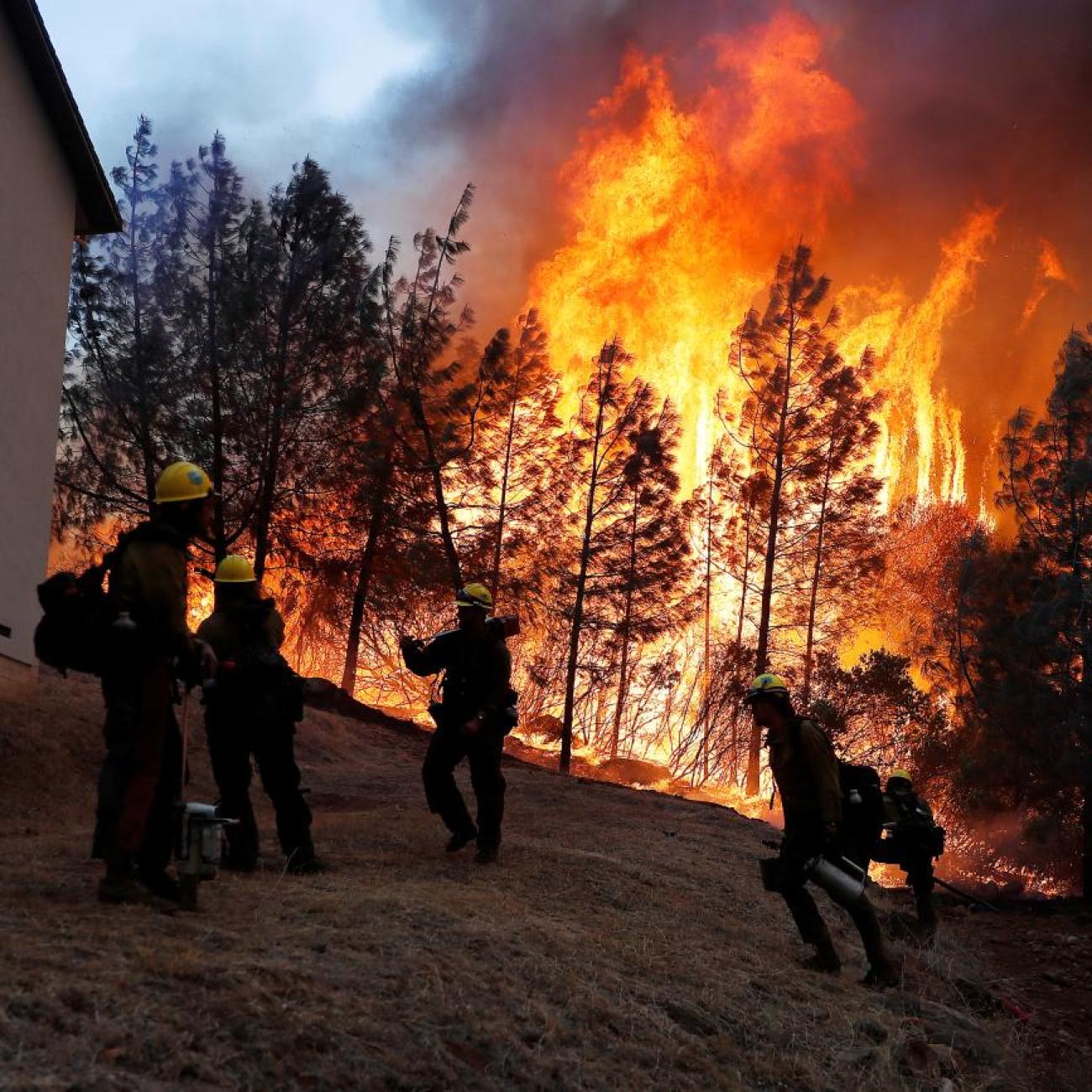 A group of U.S. Forest Service firefighters monitor a back fire while battling to save homes at the Camp Fire in Paradise, California, on November 8, 2018.