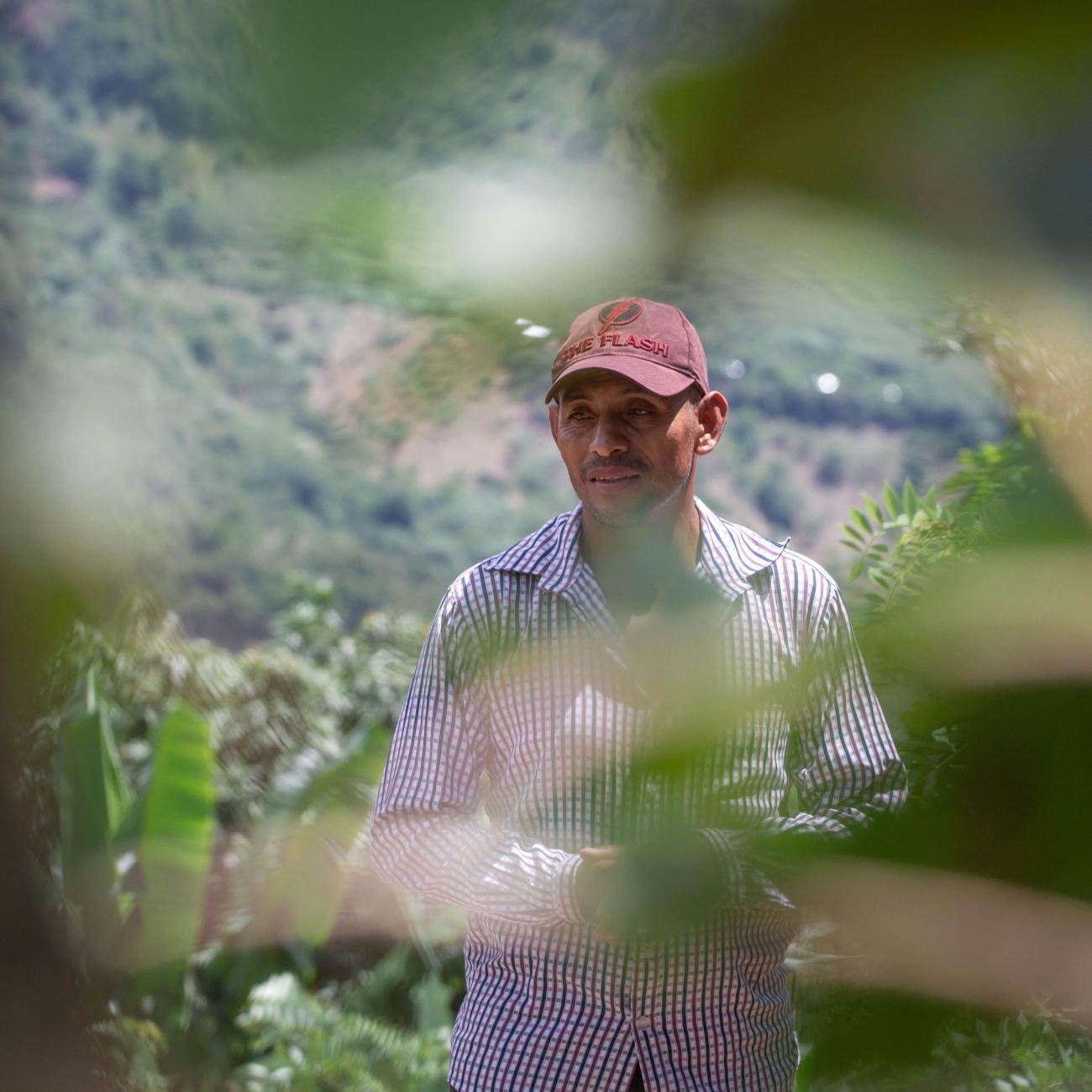 A person is seen standing through leaves.