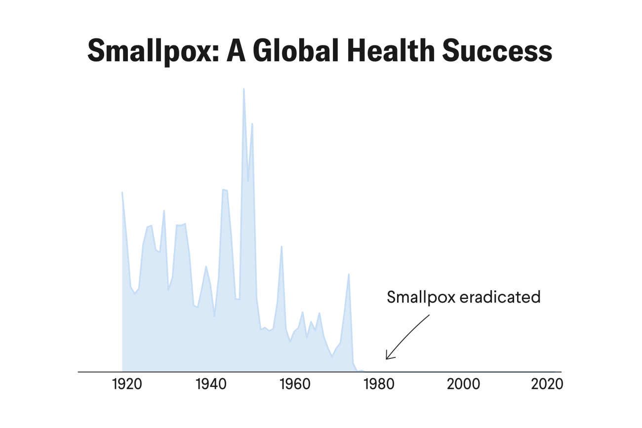 Smallpox: A Global Health Success