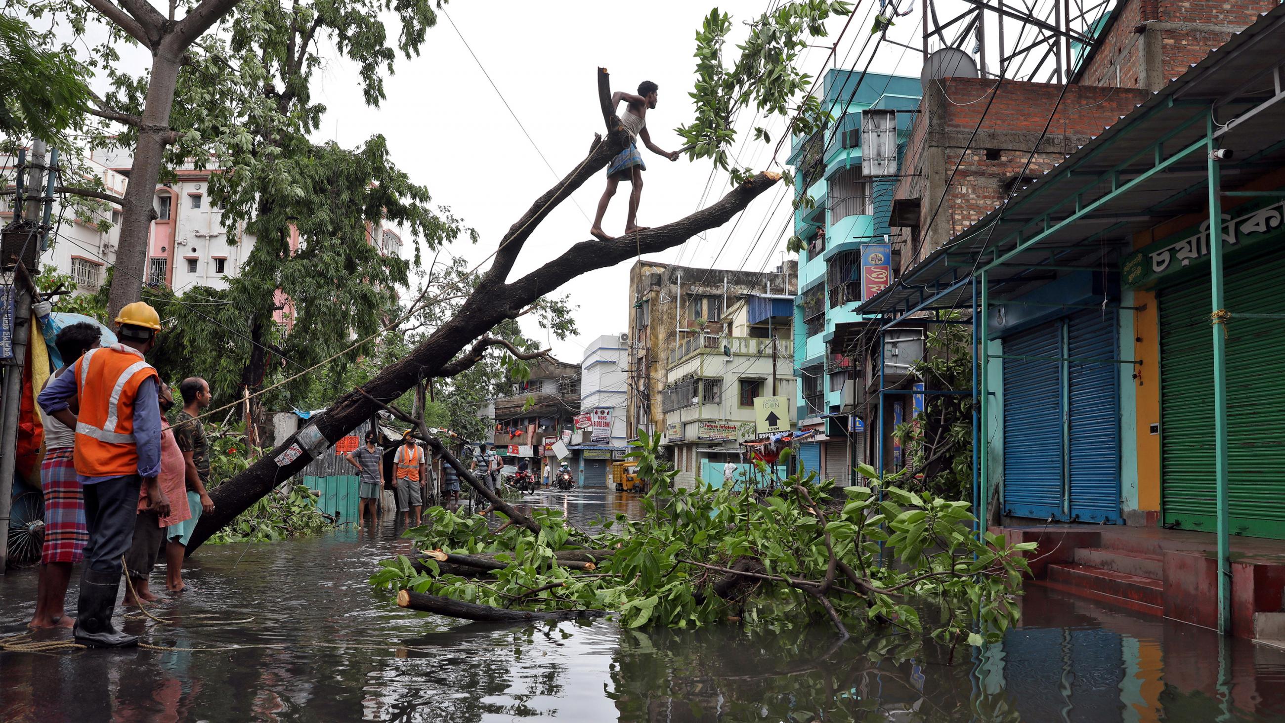 The photo shows a man walking on a limb of a downed tree susopended over a flooded street while a worker in an orange vest looks on. 