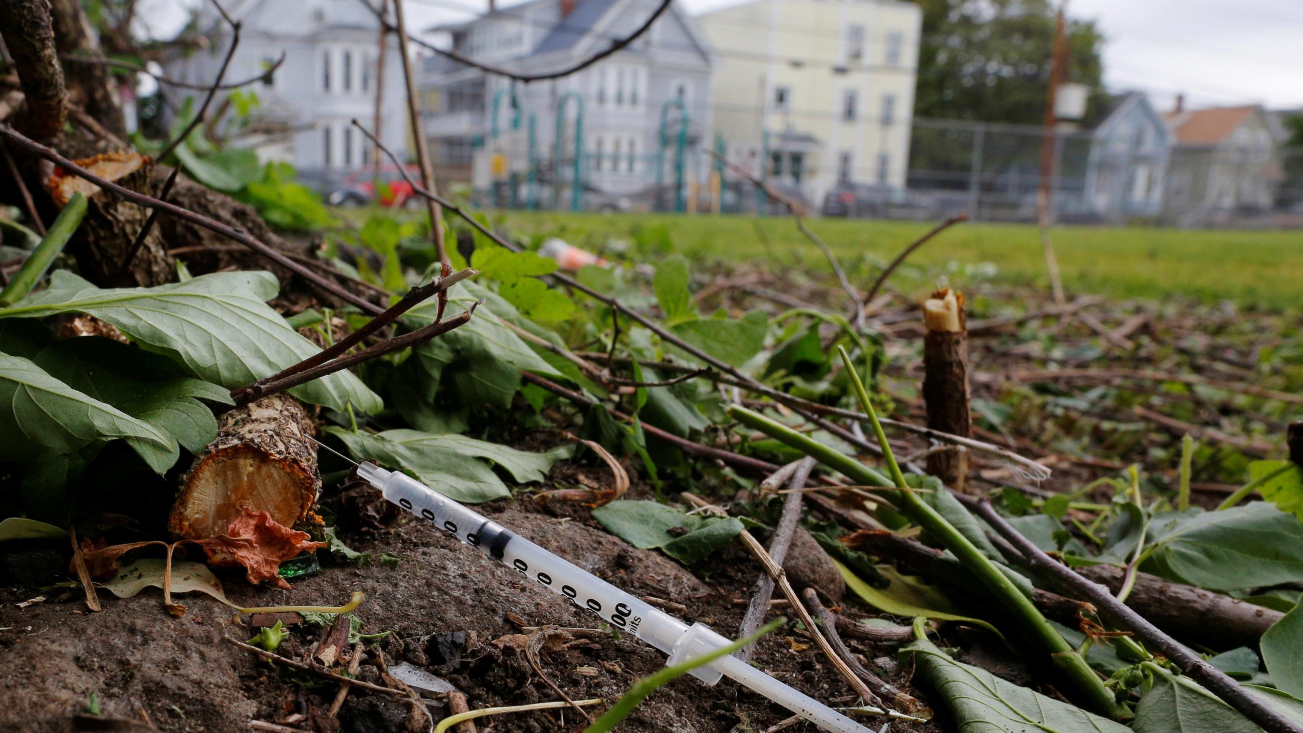 The photo shows a needle thrown on a grassy field. 