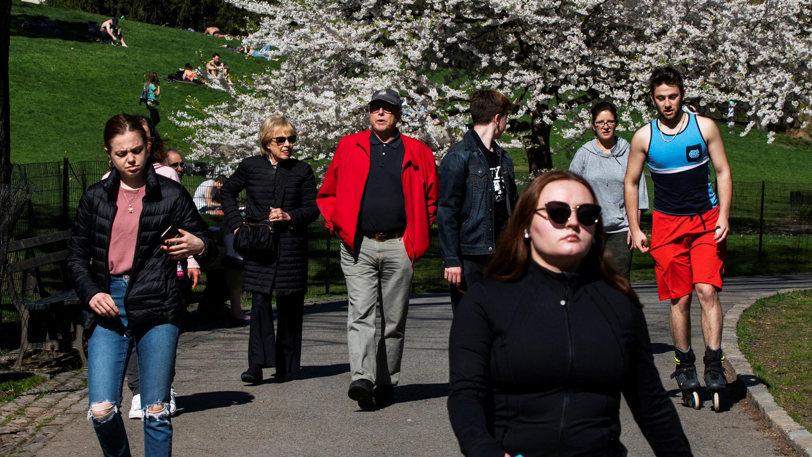 The photo shows a number of people walking down a broad path through the park. 