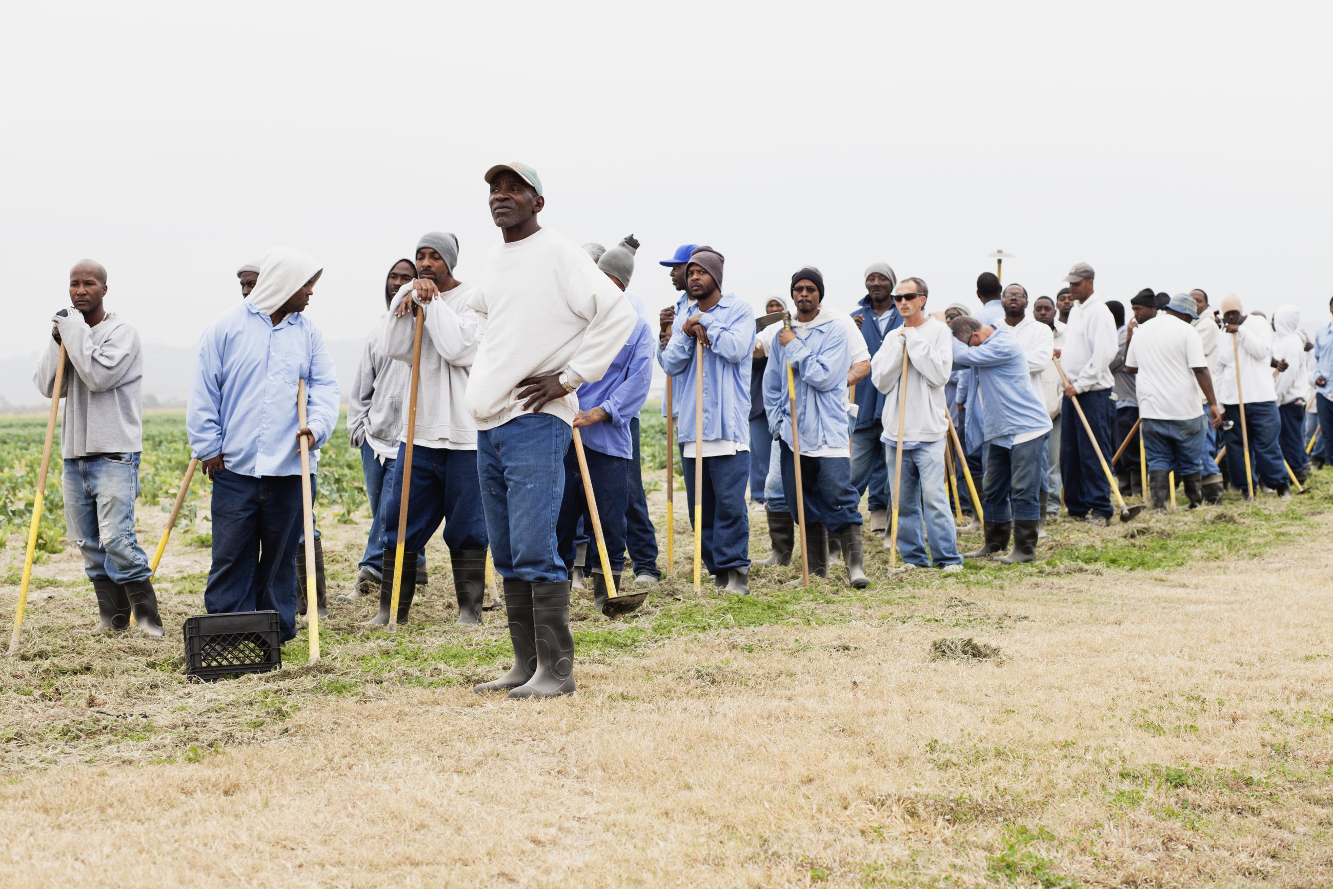 Jimmy Jackson (front), 63, with a work crew at Angola prison. 