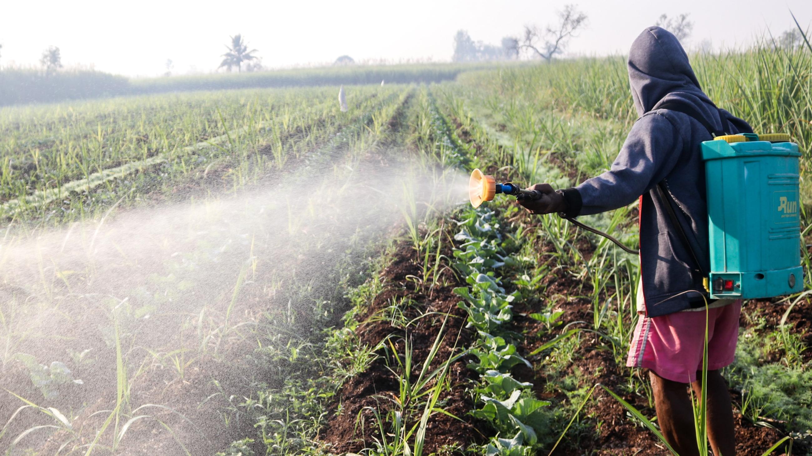 A man sprays pesticide.