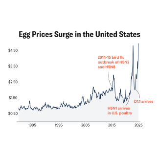 U.S. Egg Prices Reach 45-Year High as Bird Flu Intensifies