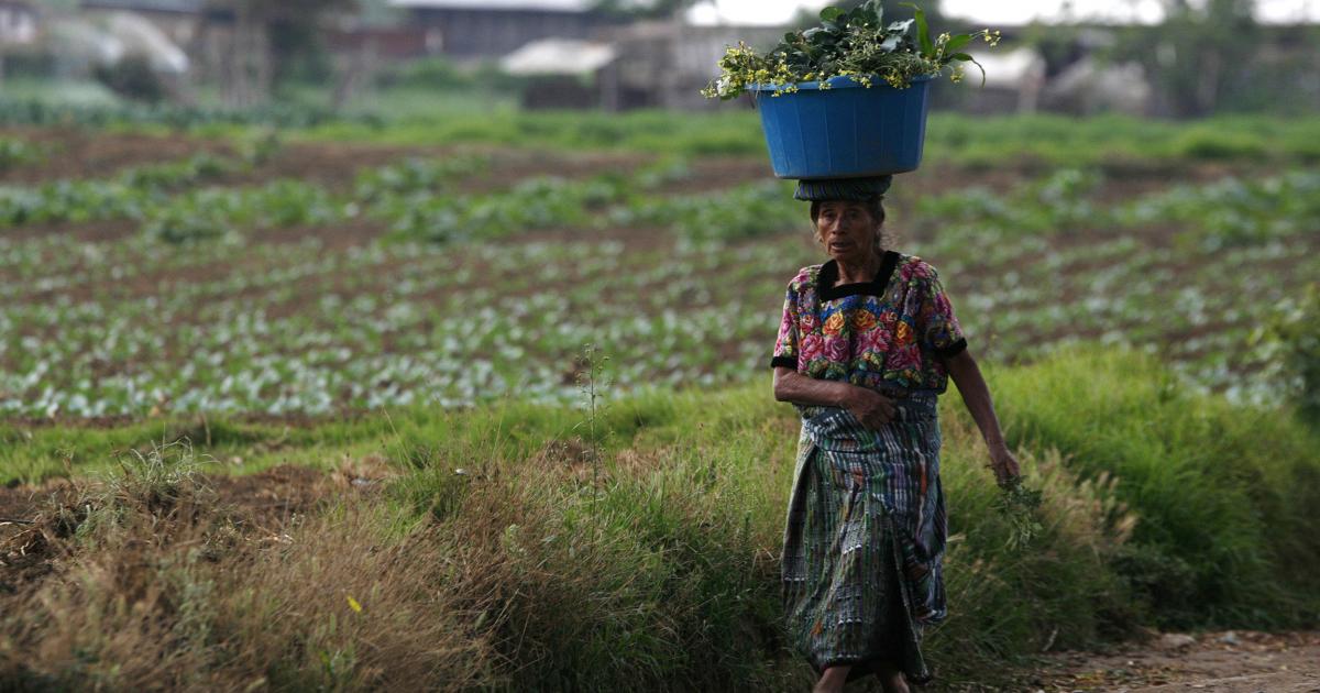 when-farmers-can-t-put-food-on-the-table-think-global-health