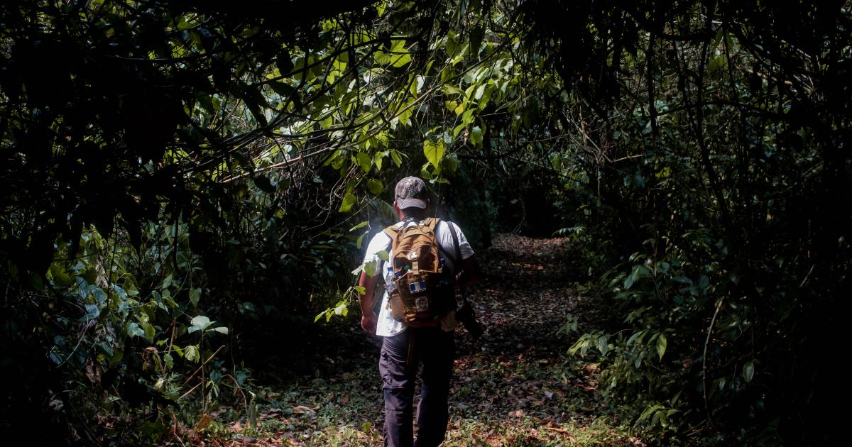 Ecoturismo en Guatemala: La solución provisional para la migración cumple con la visión de sostenibilidad